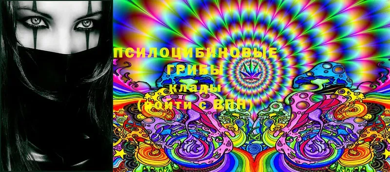 Галлюциногенные грибы Magic Shrooms  Чистополь 